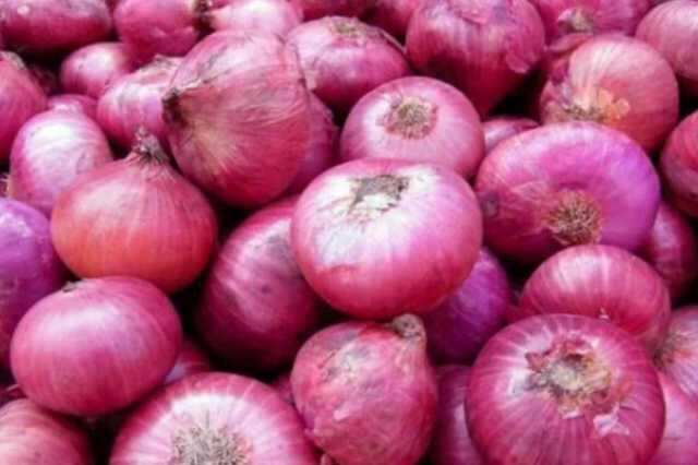 விறுவிறுவென உயரும் வெங்காயம் விலை! மேலும் உயர வாய்ப்பு!