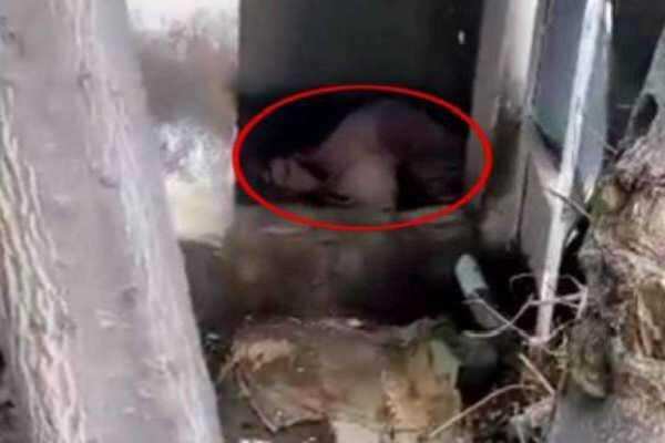 92 வயதான தாயை கழிப்பறையில் தங்க வைத்த கொடூரம்! மகனும், மருமகளும் கைது!