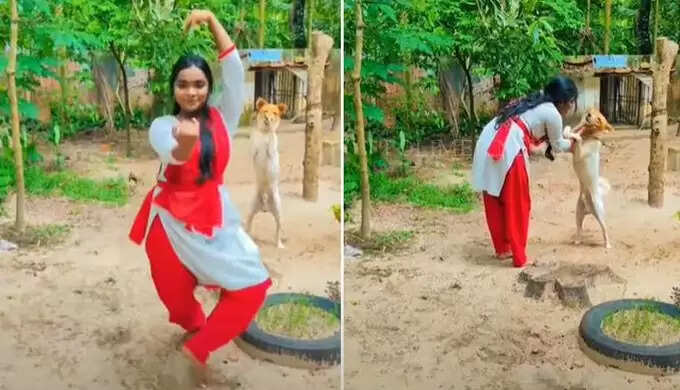 கேரளாவில் இளம்பெண்ணுடன் நடனமாடிய நாய்..! இணையத்தில் வைரலாகும் வீடியோ!!