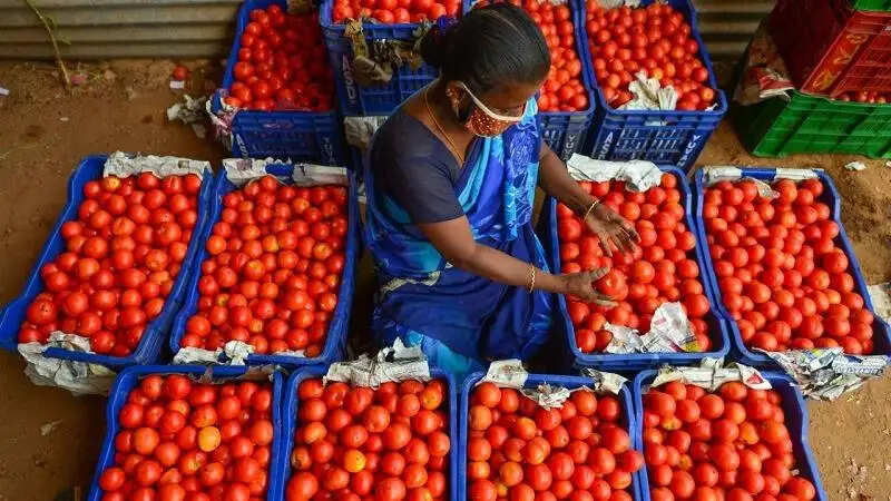 இந்த இடத்தில் தக்காளி விற்பனை செய்யக் கூடாது.. சென்னை ஐகோர்ட் அதிரடி உத்தரவு..!