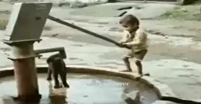 dog water