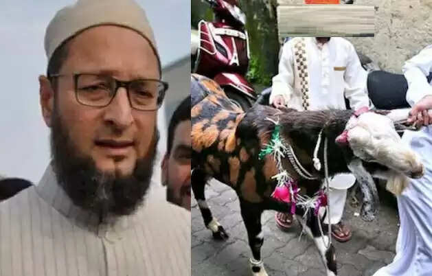 துப்பாக்கிச் சூடு எதிரொலி.. ஓவைசி நலனுக்காக 101 ஆடுகள் பலி !!