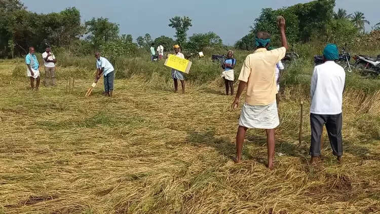 இழப்பீடு கேட்டு விளைநிலத்தில் கிரிக்கெட் விளையாடிய விவசாயிகள்!!