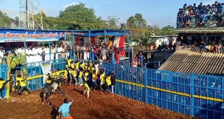 சீறிப்பாயும் காளைகள்.. இந்த ஆண்டுக்கான முதல் ஜல்லிக்கட்டு போட்டி தொடங்கியது !!