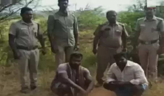 யூடியூப் பார்த்து வெடிமருந்து தயாரித்த இளைஞர்கள்.. வனப்பகுதியில் சுற்றிவளைப்பு !! யூடியூப் பார்த்து வெடிமருந்து தயாரித்த இளைஞர்கள்.. வனப்பகுதியில் சுற்றிவளைப்பு !!
