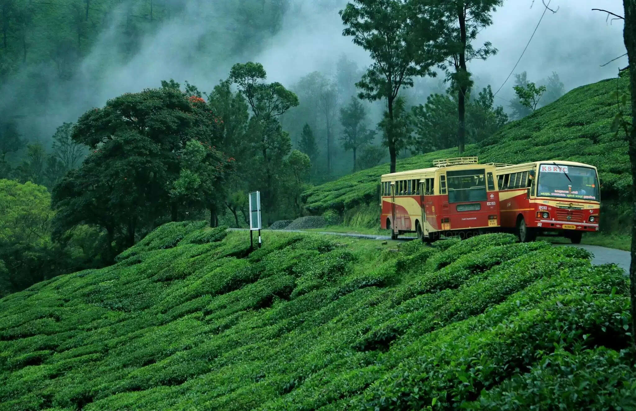 கேரளாவில் முக்கிய சுற்றுலா தலங்கள் திறப்பு ..!!