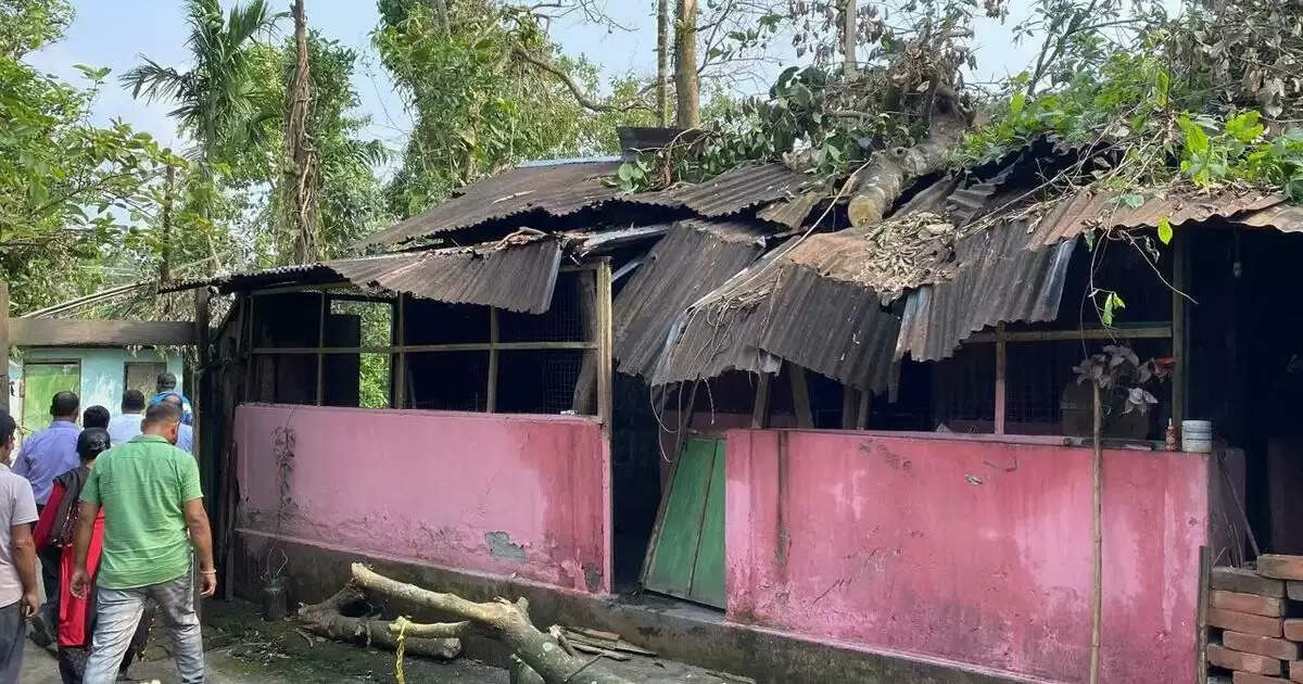 assam 1
