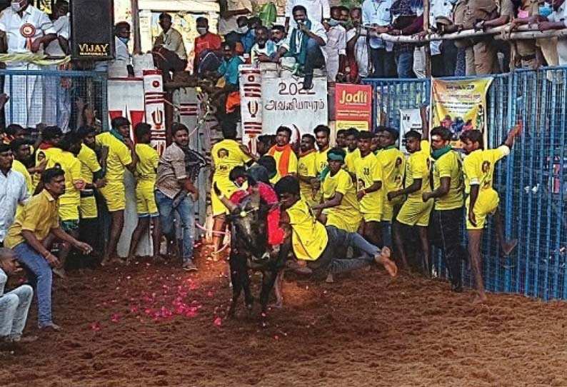 ஜல்லிக்கட்டு போட்டியில் முதல் உயிரிழப்பு..!