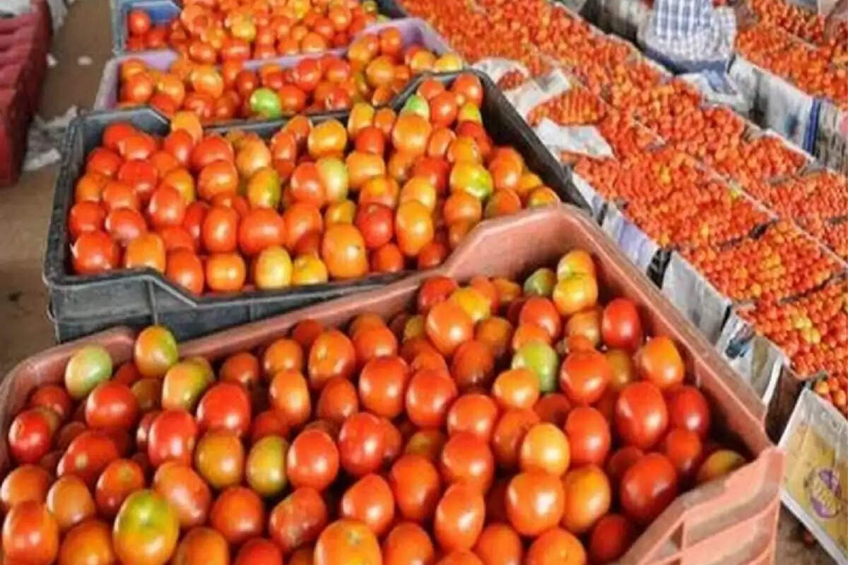 மீண்டும் எகிறியது தக்காளி விலை. அதிர்ச்சியில் இல்லத்தரசிகள்..!
