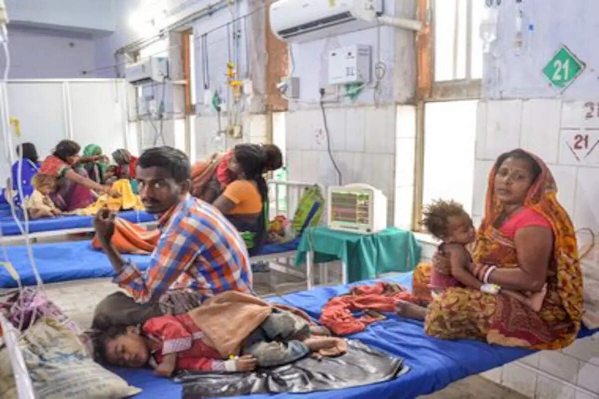 உஷார்! இங்கு 23 பேரை காவு வாங்கிய ஜப்பானிய மூளைக் காய்ச்சல்!! உஷார்! இங்கு 23 பேரை காவு வாங்கிய ஜப்பானிய மூளைக் காய்ச்சல்!!