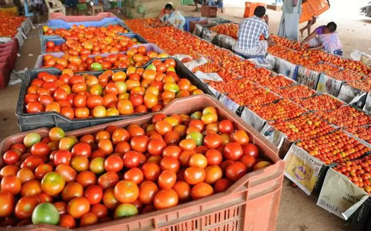 ஏற்கனவே ஆப்பிள் திருடியவர், இப்போது தக்காளி திருடியதால் கைது!!