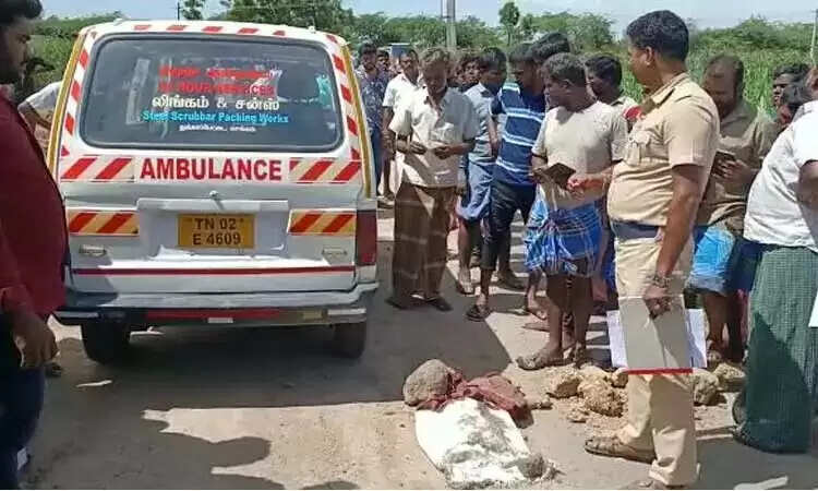 செங்கம் அருகே சோகம்.. டிராக்டர் மோதியதில் 7 மாத கர்ப்பிணி, ஒன்றரை வயது குழந்தை பலி..!