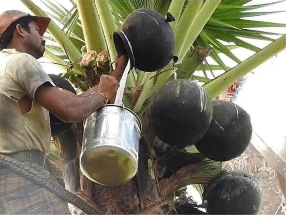கள் இறக்கும் போராட்டம்… பாஜக அண்ணாமலை பங்கேற்பு!?