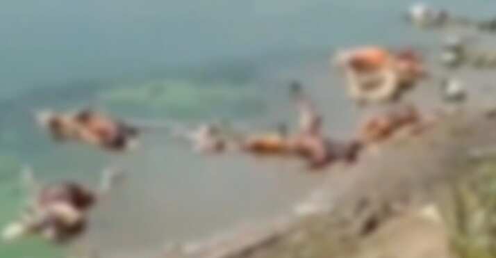 கங்கை ஆற்றில் மிதக்கும் நூற்றுக்கணக்கான சடலங்கள்... கொரோனாவில் இறந்தவர்களா?