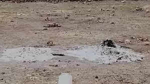 எரிந்து கொண்டிருந்த பெண்ணின் உடல்.. தீயில் பாய்ந்த இளைஞர்.. அதிர்ச்சியில் உறவினர்கள்..!