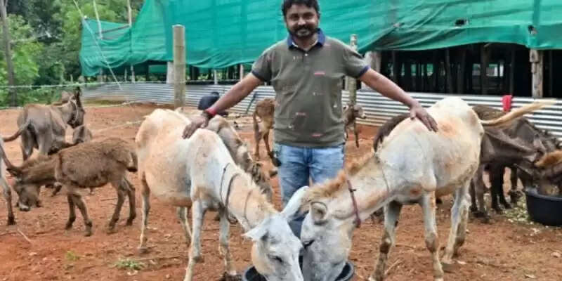 அடேங்கப்பா! கழுதை வளர்த்தால் ஒரு ஆர்டர் ரூ.17 லட்சம்!!