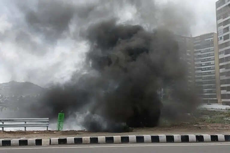 சென்னை பல்லாவரம் சாலையில் பாலத்திற்கு அடியில் ஏற்பட்ட திடீர் தீ..!!