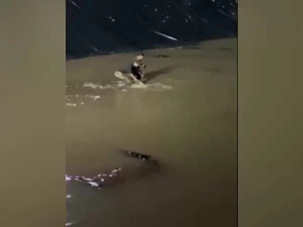 விநாயகர் சிலை கரைக்கவேண்டிய குளத்தில் முதலை.. பக்தர்கள் அதிர்ச்சி.. அச்சம் !!