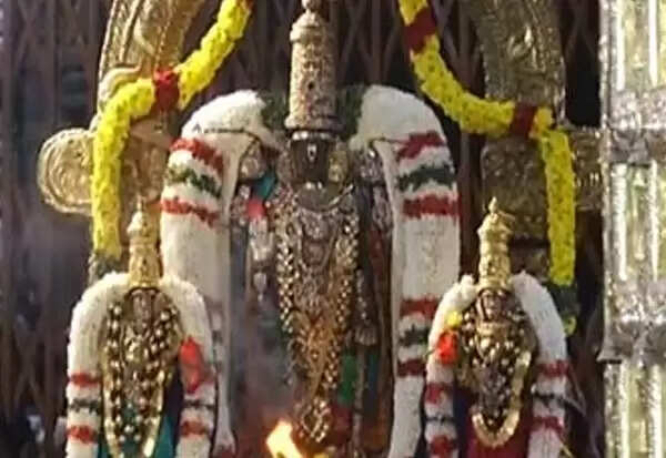 சிறப்பு அலங்காரத்தில் பரமபதவாசல் அருகே பெருமாள் காட்சியளித்து பக்தர்களுக்கு அருள்பாலித்தார்.