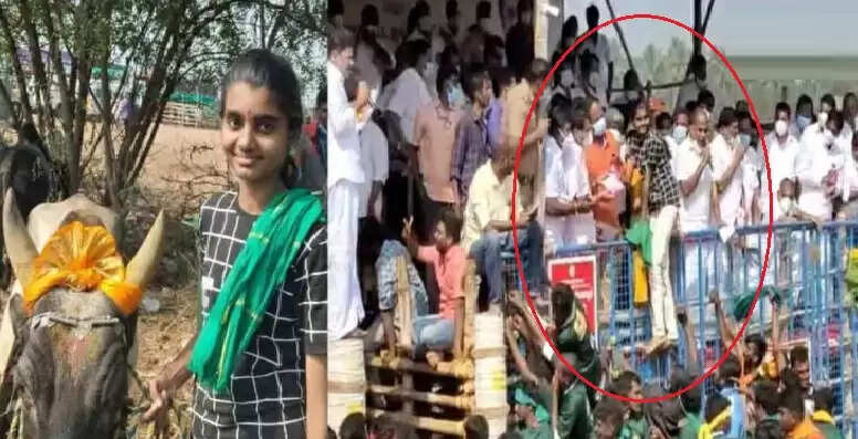 அவனியாபுரத்தில் ஆறுதல் பரிசை மறுத்த இளம்பெண்.. கோவை ஜல்லிக்கட்டில் கலக்கிய காளை !!
