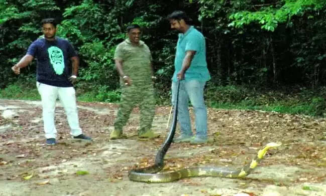 rajanagam