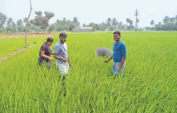 வேளாண் பட்ஜெட்: இளைஞர்கள் வேளாண் தொழில் தொடங்க ரூ.1 லட்சம் நிதியுதவி ! வேளாண் பட்ஜெட்: இளைஞர்கள் வேளாண் தொழில் தொடங்க ரூ.1 லட்சம் நிதியுதவி !