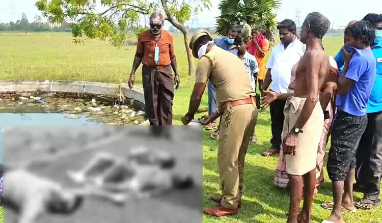 செங்கல்பட்டில் அதிர்ச்சி.. மகள்களுடன் கிணற்றில் சடலமாக மிதந்த ஆட்டோ டிரைவர்..! செங்கல்பட்டில் அதிர்ச்சி.. மகள்களுடன் கிணற்றில் சடலமாக மிதந்த ஆட்டோ டிரைவர்..!