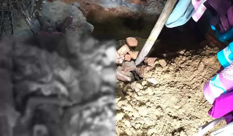 dig