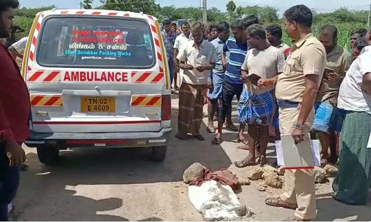 டிராக்டர் மோதியதில் 7 மாத கர்ப்பிணி, ஒன்றரை வயது குழந்தை பரிதாப பலி!