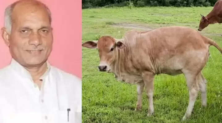bjp minis