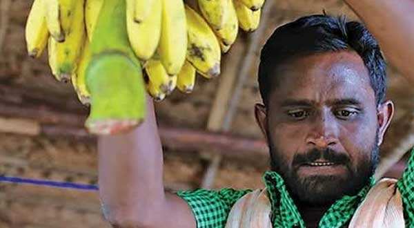 வாழைப்பழ காமெடியில் கலக்கிய சிவகார்த்திகேயன் பட நடிகர் காலமானார் !! வாழைப்பழ காமெடியில் கலக்கிய சிவகார்த்திகேயன் பட நடிகர் காலமானார் !!