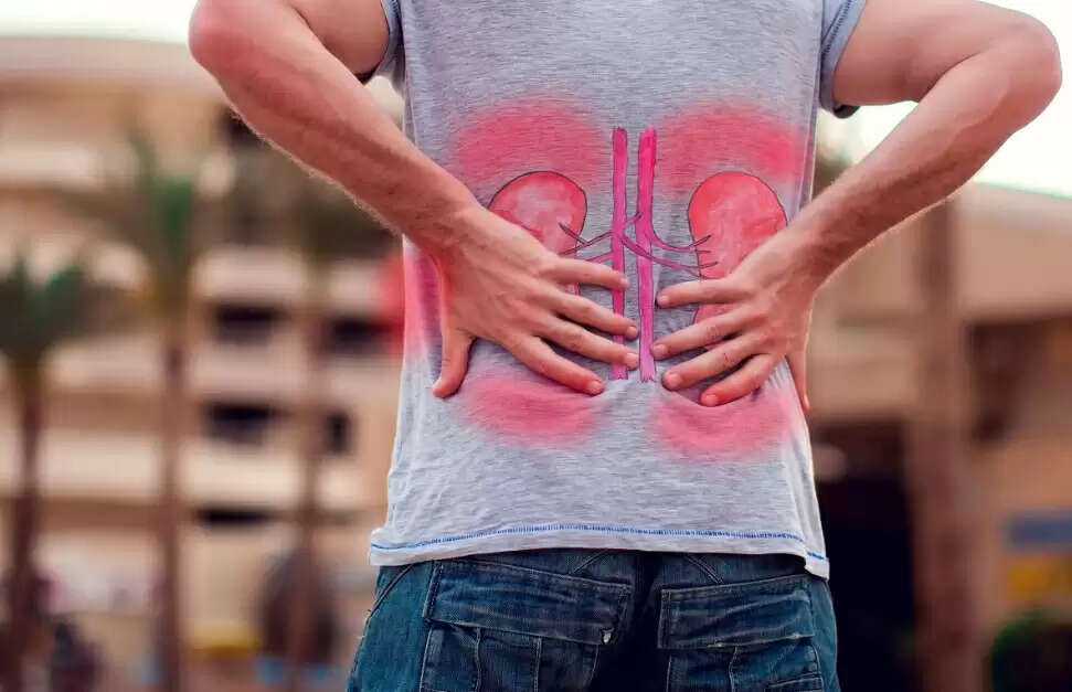 kidney 1