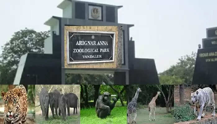 Vandalur Zoo