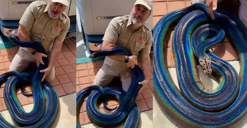 பாம்பு தெரியும்... அதுதென்ன ரெயின்போ கலர் பாம்பு..? வைரல் வீடியோ!!