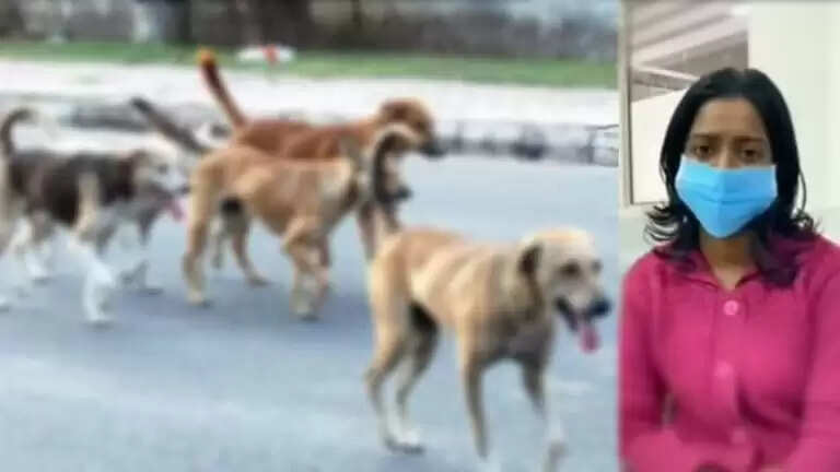 dog bite