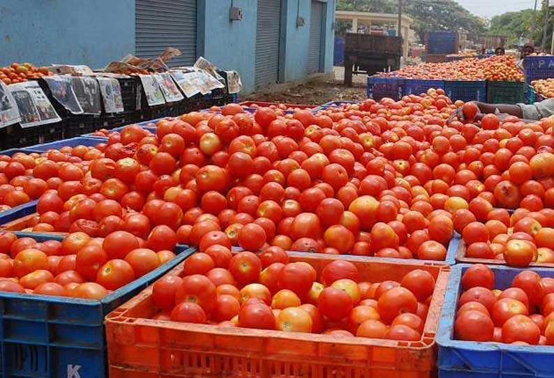 எகிறிய தக்காளி விலை இறங்கியது.. இல்லத்தரசிகள் மகிழ்ச்சி..!