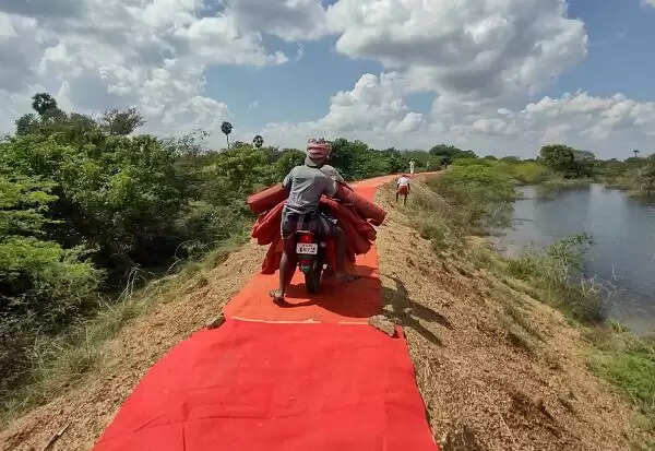 கண்மாய் கரையில் சிவப்புக் கம்பளம்.. காரணம் என்ன தெரியுமா..?