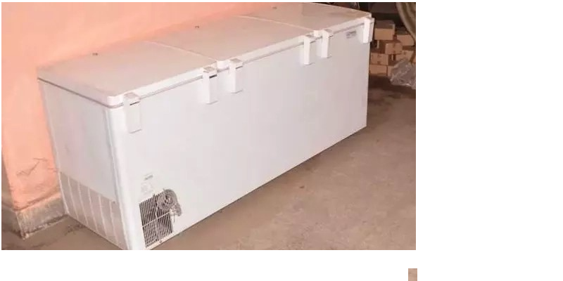 அதிர்ச்சி! 10 ஆண்டுகளாக தாயின் சடலத்தை ஃப்ரீசரில் மறைத்து வைத்திருந்த மகள் !!