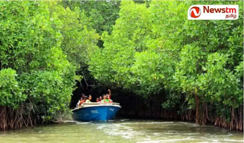 பிப்.2 உலக சதுப்பு நில தினம்: இன்றைய காலக்கட்டத்தில் சதுப்பு நில பாதுகாப்பு அவசியம் ஏன்? பிப்.2 உலக சதுப்பு நில தினம்: இன்றைய காலக்கட்டத்தில் சதுப்பு நில பாதுகாப்பு அவசியம் ஏன்?