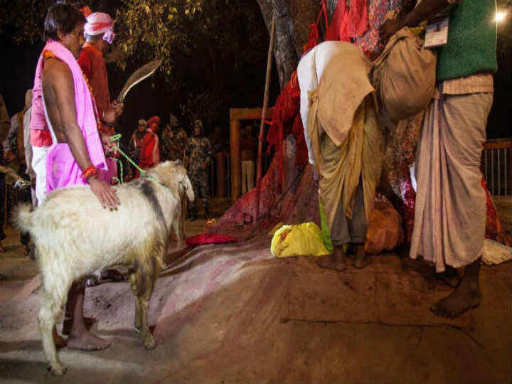 ஆட்டுக்கு பதிலாக ஆட்டை பிடித்திருந்த நபரின் தலை துண்டிப்பு..!!