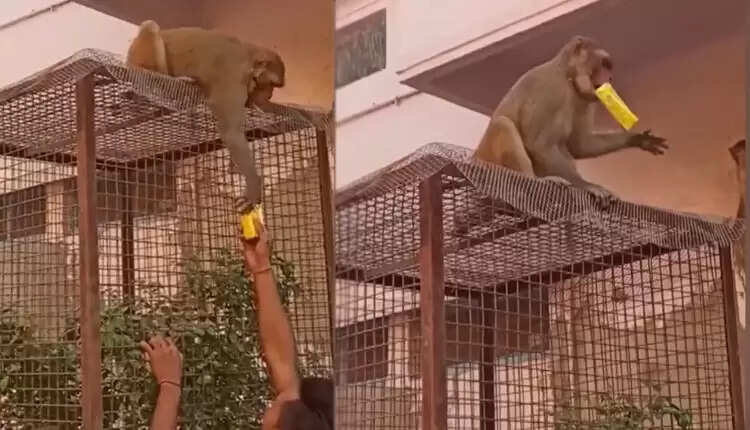 உனக்கு ஜூஸ் பாக்கெட்... எனக்கு கண்ணாடி.. டீலா நோ டீலா..