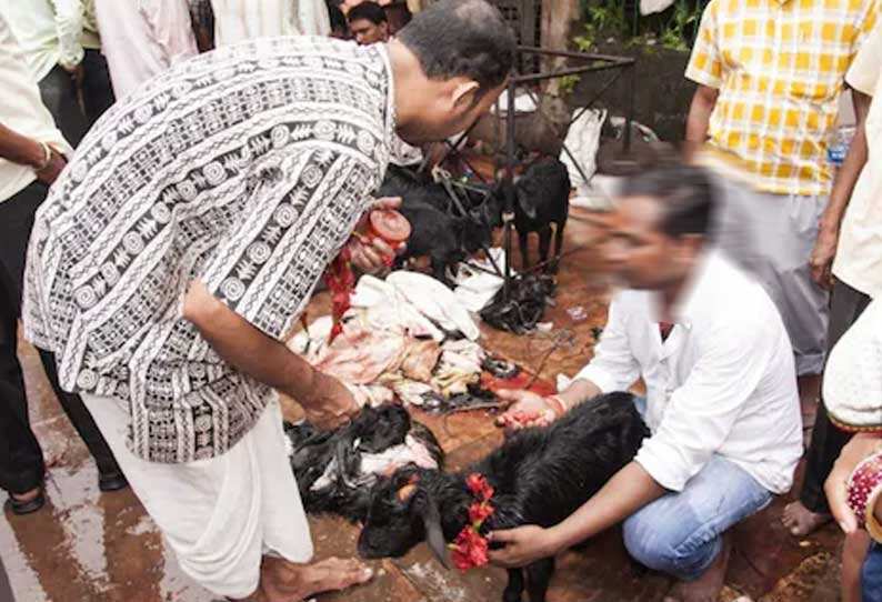 நேர்த்திக்கடனில் சோகம்.. ஆட்டுக்கு பதில் மனித தலையை வெட்டிய கொடூரம் ..!!