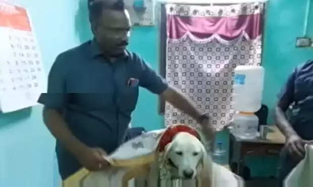 நாய்க்கு கேக் வெட்டி கொண்டாட்டம்.. காவல்துறை அதிகாரிகள் நெகிழ்ச்சி !!