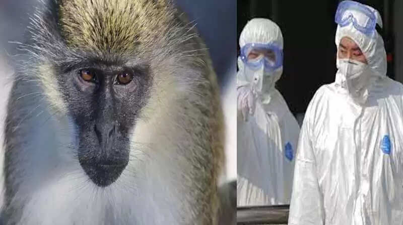 அடுத்த ஷாக்..!! கொரோனாவை தொடர்ந்து ‘குரங்கு பி’ வைரஸ்; சீனாவில் கால்நடை மருத்துவர் பலி..! அடுத்த ஷாக்..!! கொரோனாவை தொடர்ந்து ‘குரங்கு பி’ வைரஸ்; சீனாவில் கால்நடை மருத்துவர் பலி..!