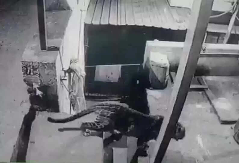 கல்லூரிக்குள் வலம் வந்த சிறுத்தை புலி.. பொதுமக்களுக்கு வனத்துறை எச்சரிக்கை..!