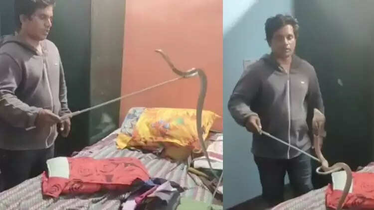 பெட்ரூமில் பாட்டியுடன் ஒன்றாக விடிய விடிய படுத்து தூங்கிய நல்ல பாம்பு..!!