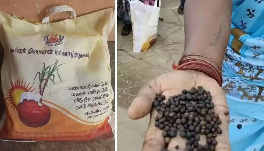 Pongal-Gift