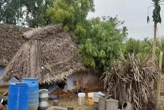பெரும் சோகம்.. வீட்டின் மீது மரம் விழுந்து பெண் குழந்தை பலி! !!