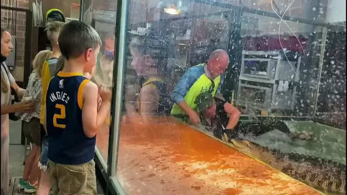 முதலைக்கு உணவளிக்க முயன்ற பெண்..! நொடி பொழுதில் கையைக் கடித்து குதறிய வீடியோ!!