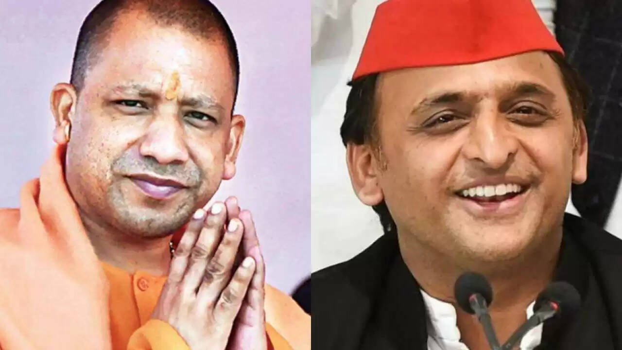yogi